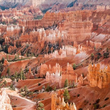 Summers Love Near Zion Np ワシントン エクステリア 写真