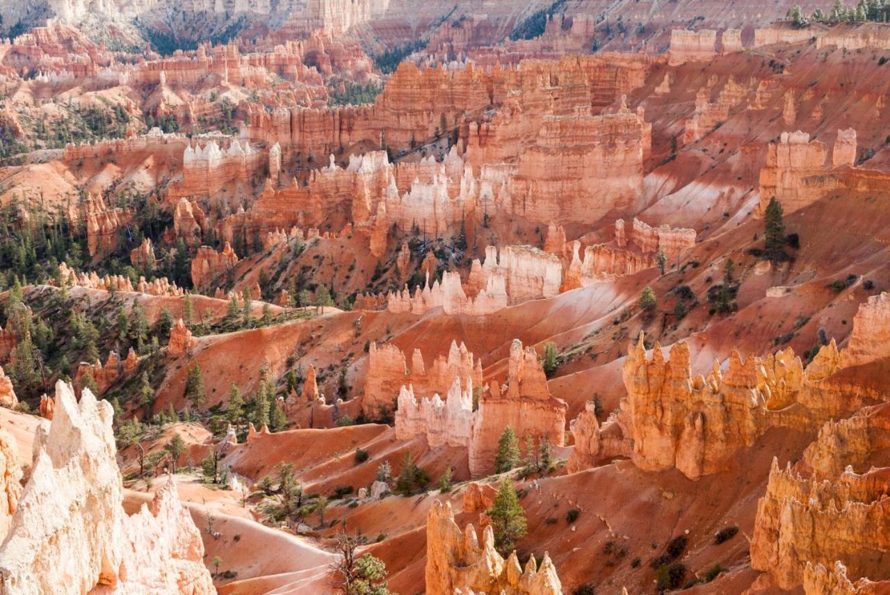 Summers Love Near Zion Np ワシントン エクステリア 写真