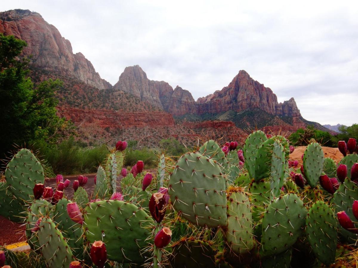 Summers Love Near Zion Np ワシントン エクステリア 写真